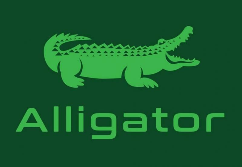 Alligator Leather Craft